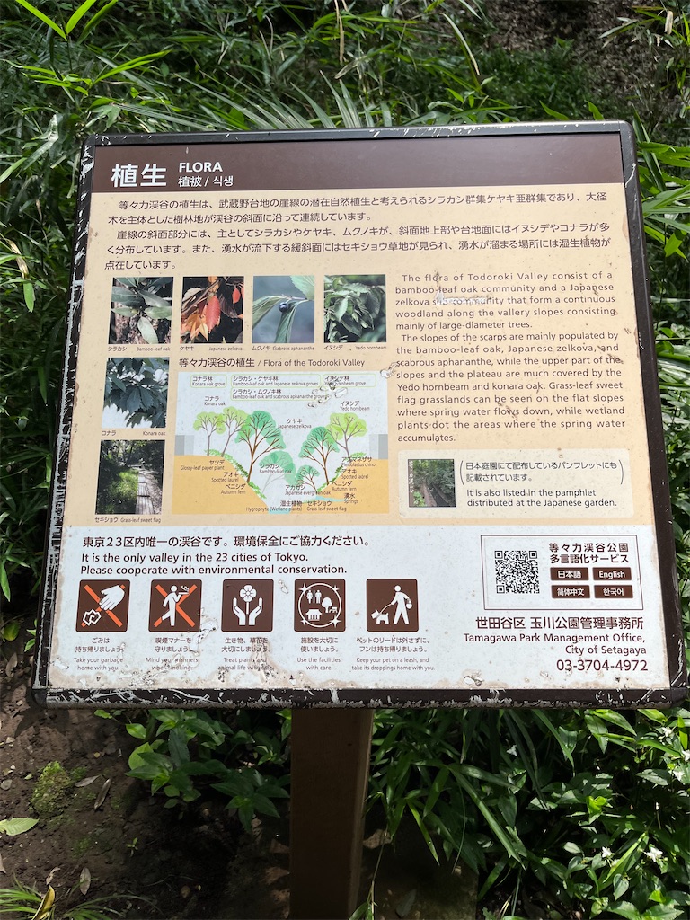 f:id:hiroyuta32:20220623114410j:image