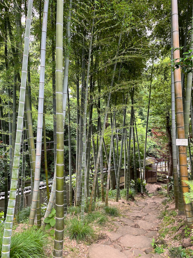 f:id:hiroyuta32:20220623114513j:image
