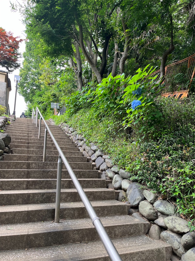 f:id:hiroyuta32:20220623114519j:image