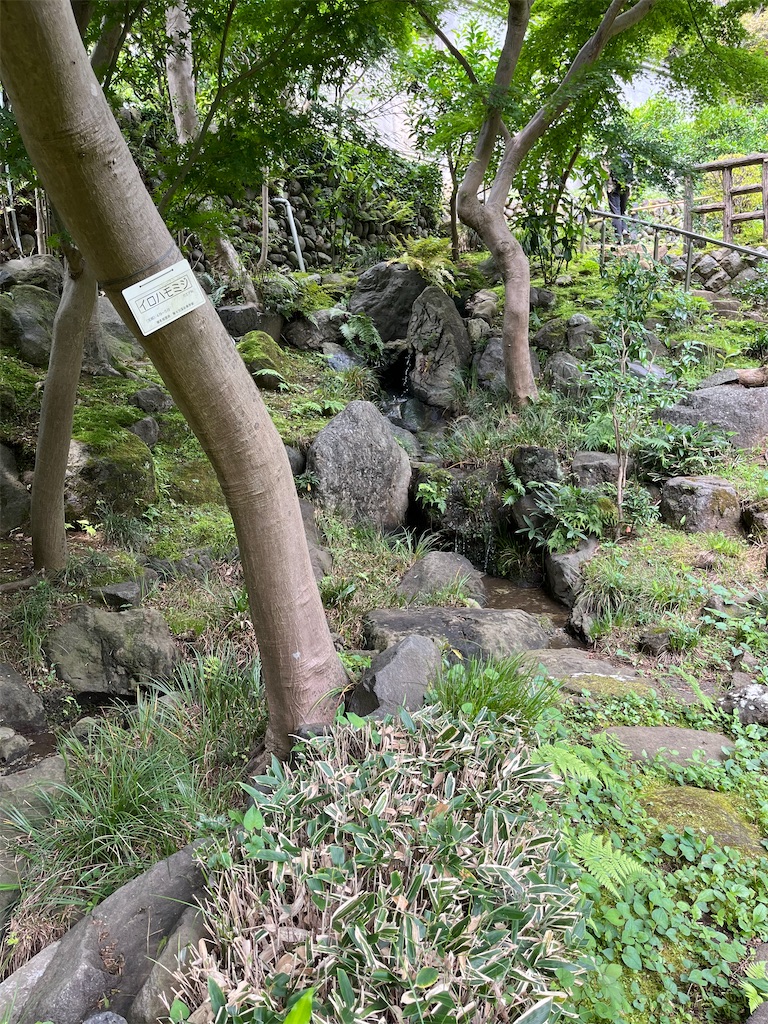 f:id:hiroyuta32:20220623114524j:image