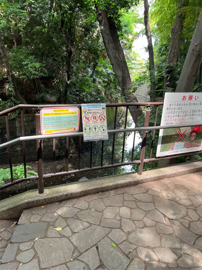 f:id:hiroyuta32:20220623114529j:image