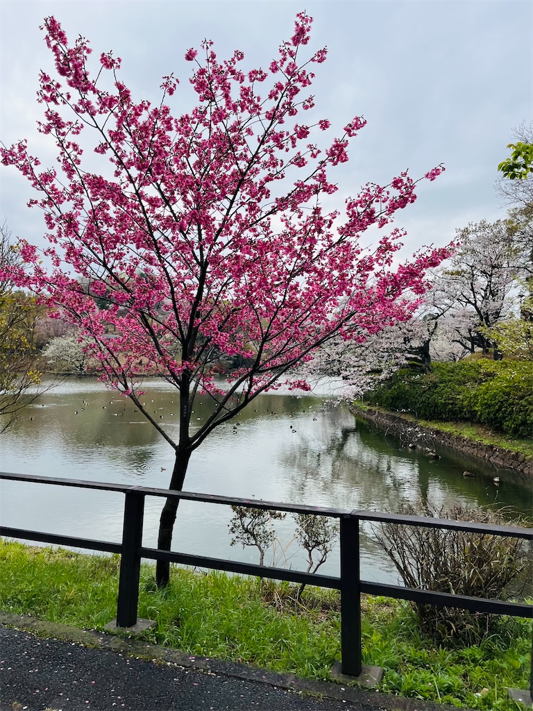 f:id:hiroyuta32:20230330100918j:image