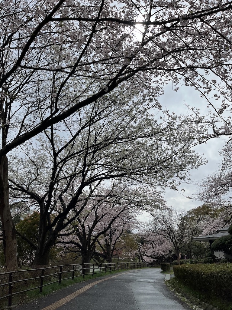 f:id:hiroyuta32:20230330100928j:image