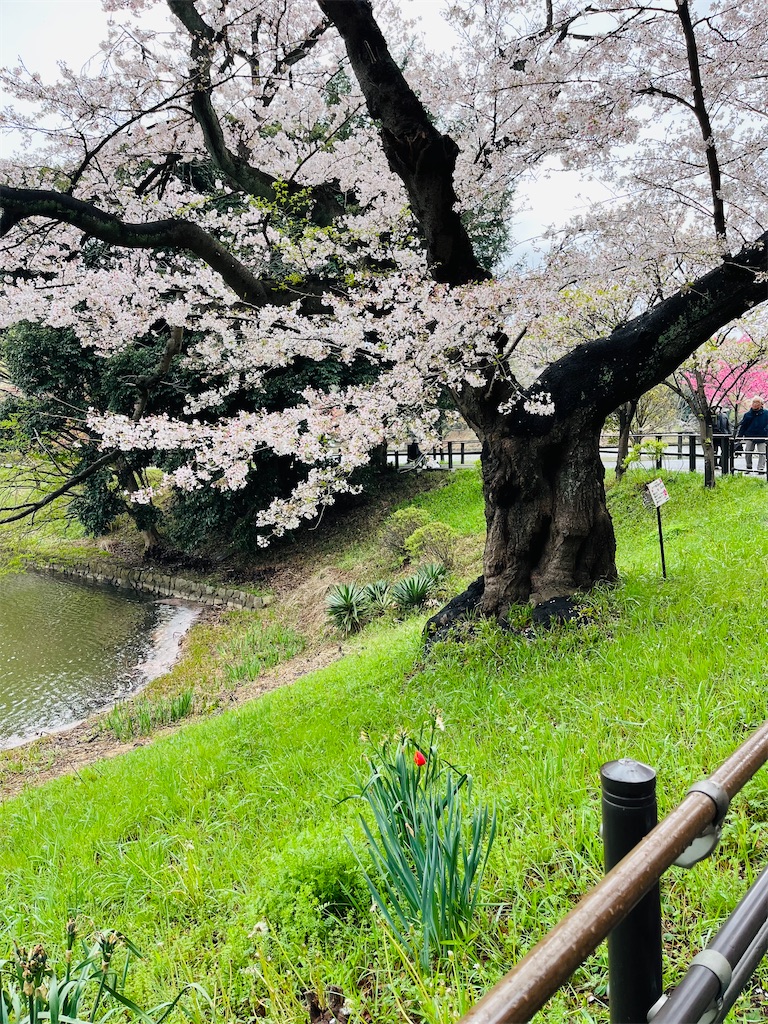 f:id:hiroyuta32:20230330100937j:image