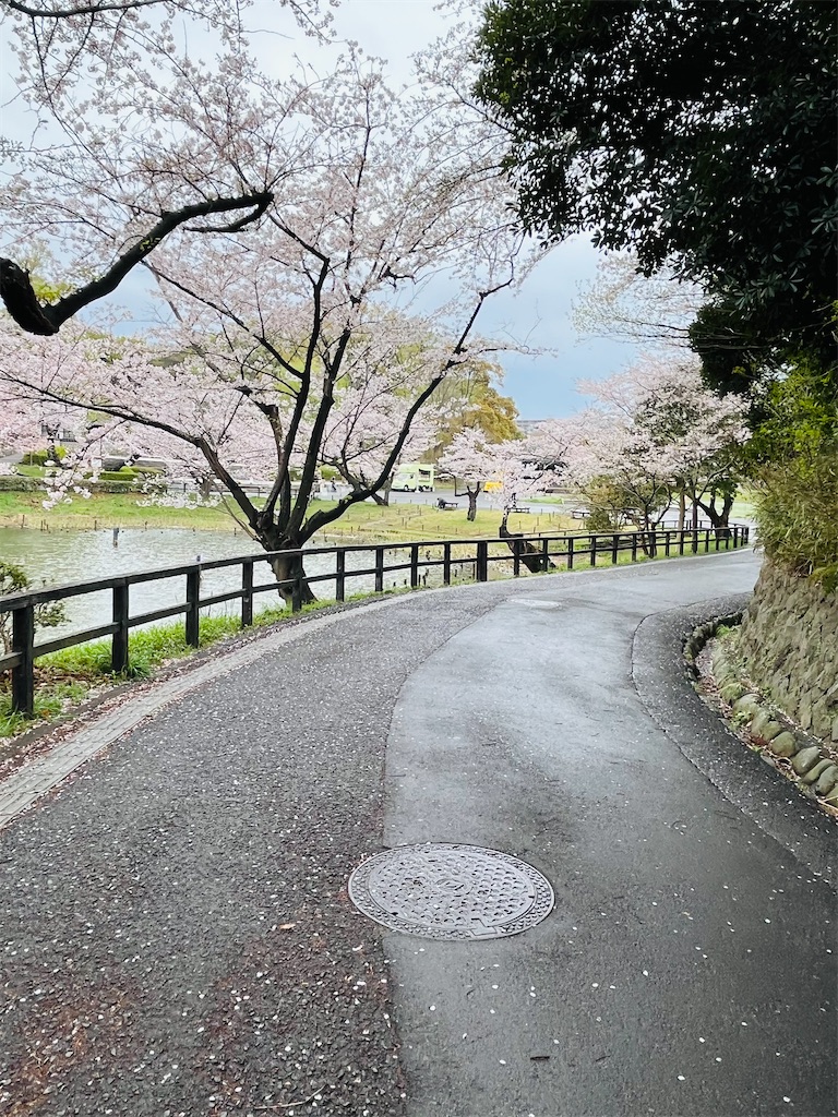 f:id:hiroyuta32:20230330100944j:image