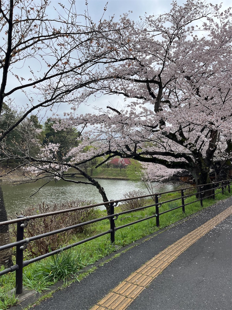 f:id:hiroyuta32:20230330100947j:image