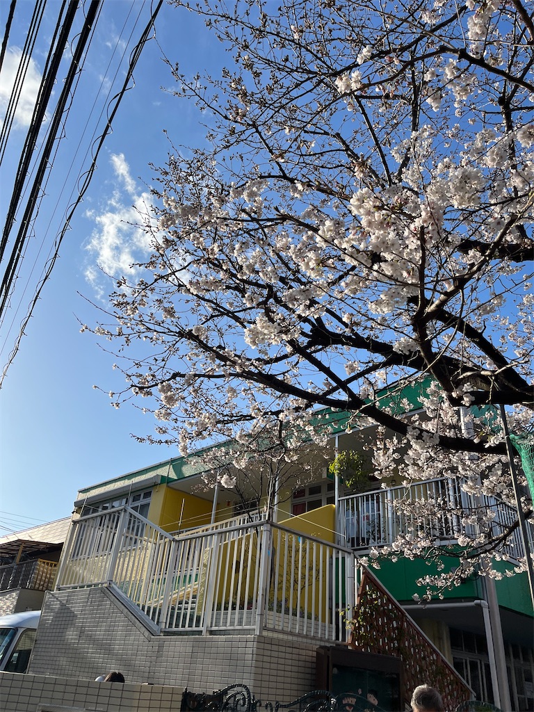f:id:hiroyuta32:20230330101546j:image