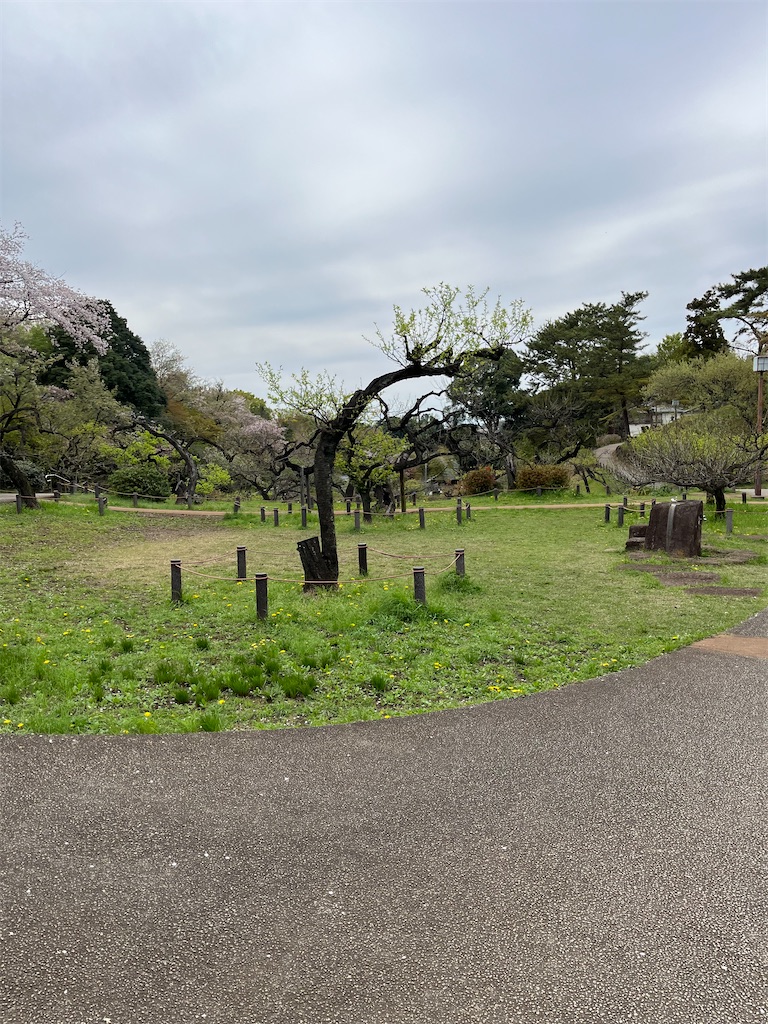 f:id:hiroyuta32:20230331164859j:image