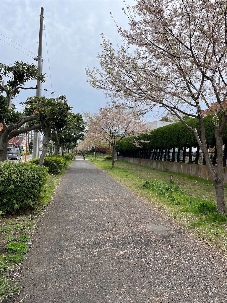 f:id:hiroyuta32:20230331164906j:image
