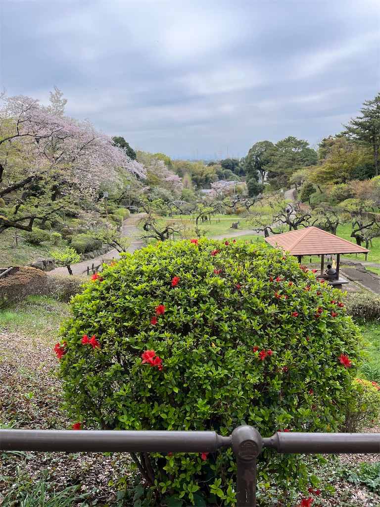 f:id:hiroyuta32:20230331164912j:image
