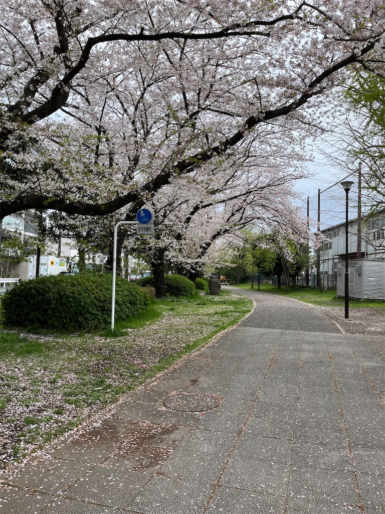 f:id:hiroyuta32:20230331164924j:image
