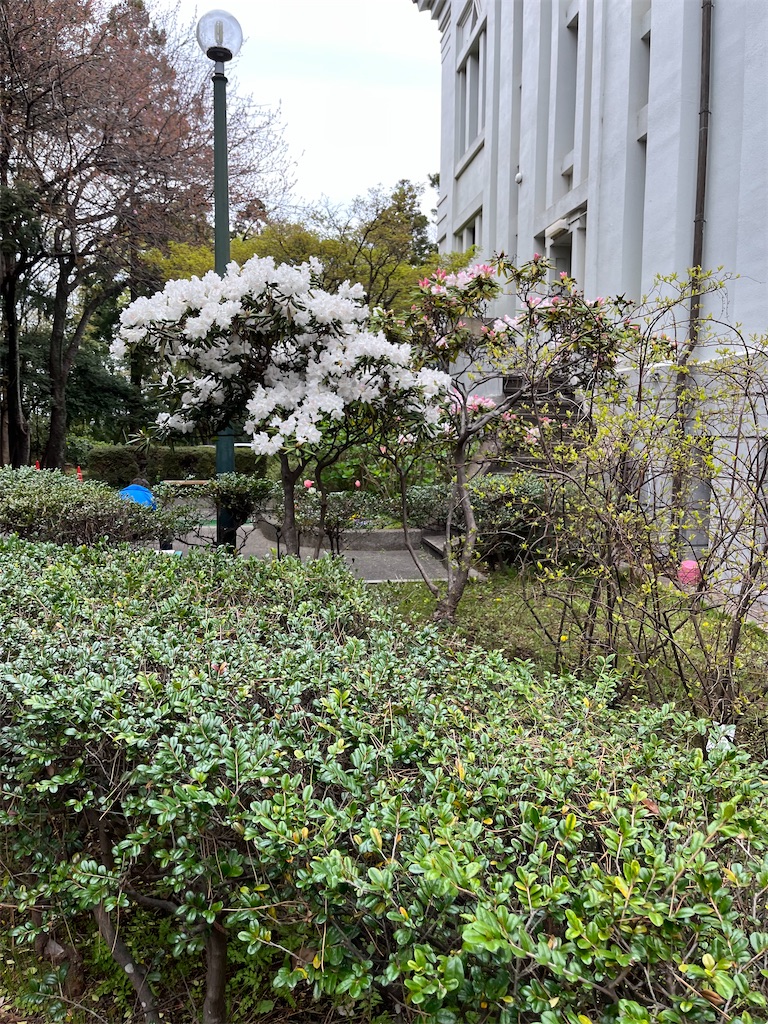 f:id:hiroyuta32:20230331164933j:image