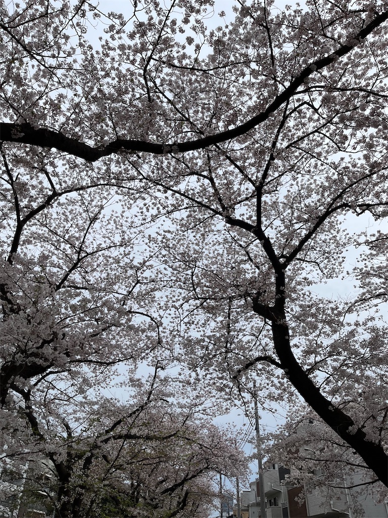 f:id:hiroyuta32:20230331164955j:image