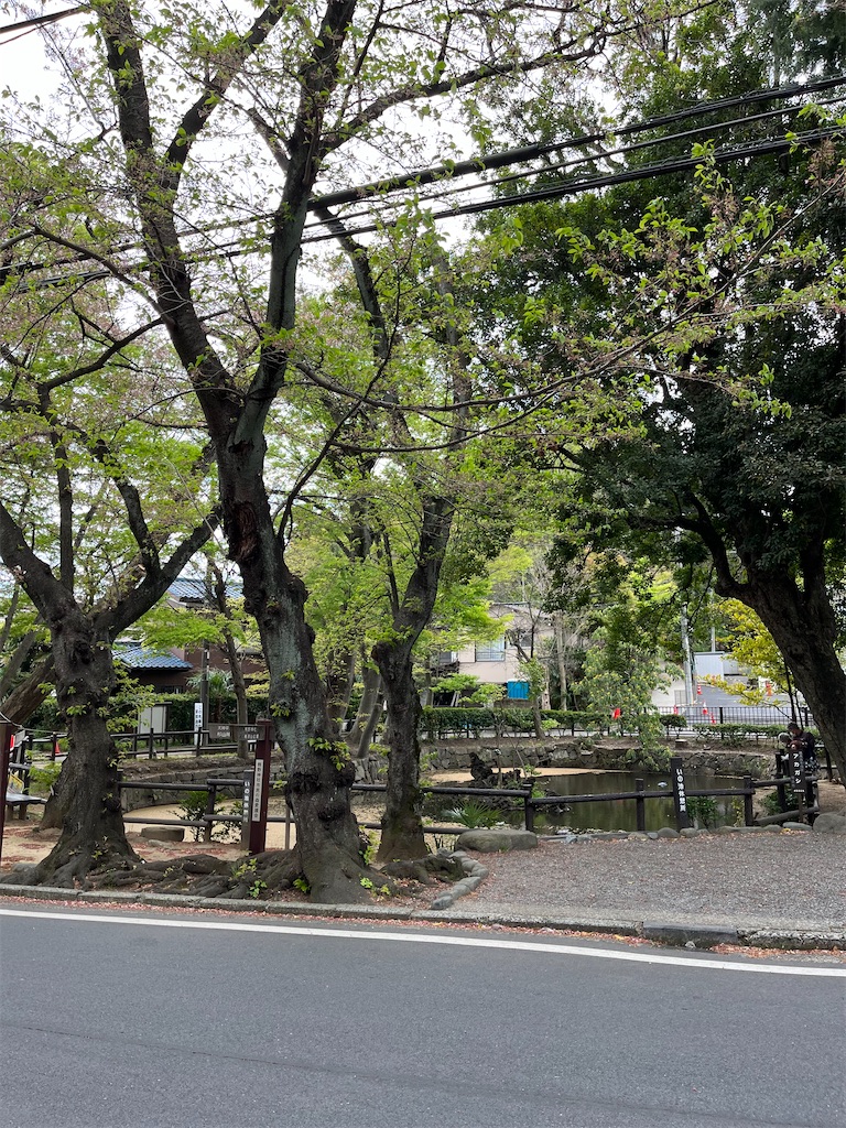 f:id:hiroyuta32:20230406163247j:image