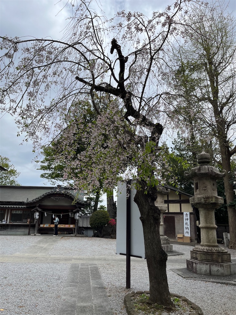 f:id:hiroyuta32:20230406163253j:image