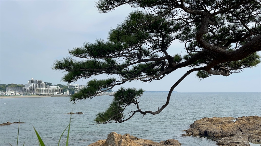 f:id:hiroyuta32:20230630105820j:image