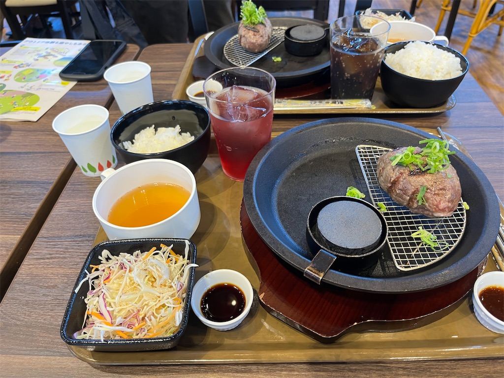 f:id:hiroyuta32:20230721141455j:image