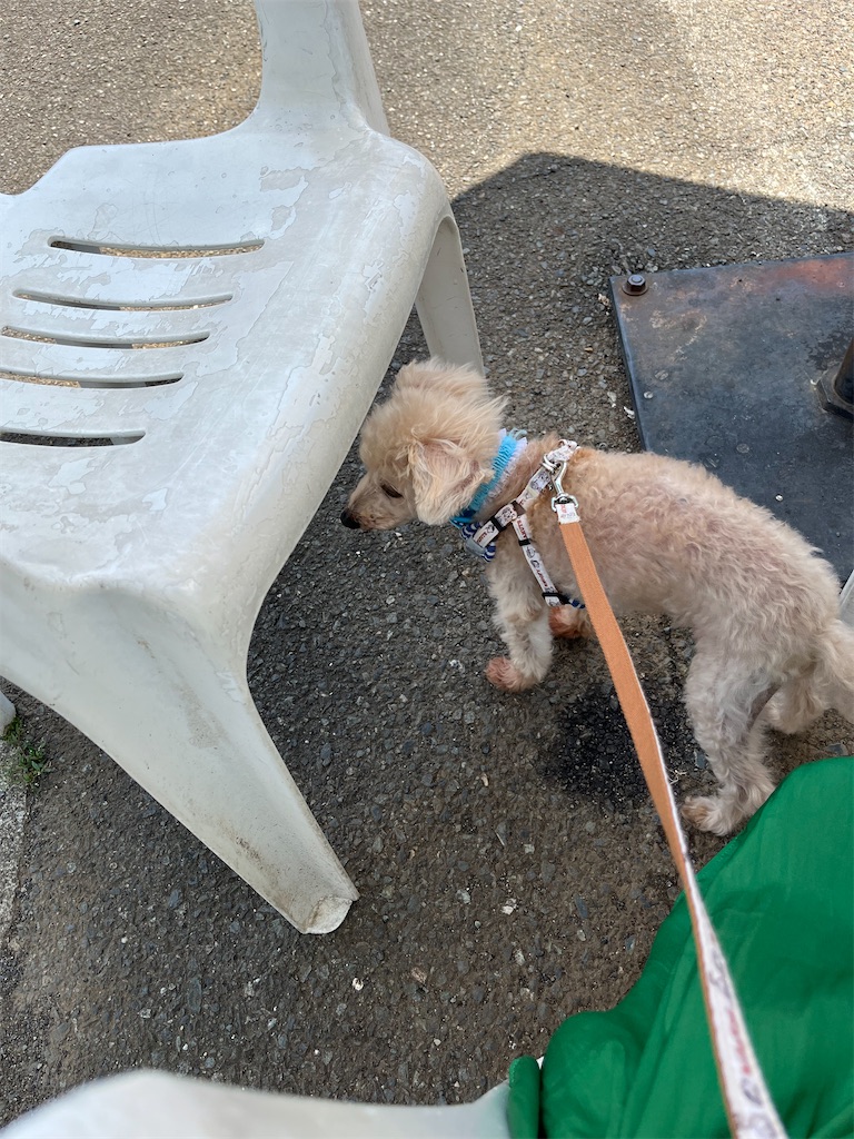 f:id:hiroyuta32:20230725102446j:image