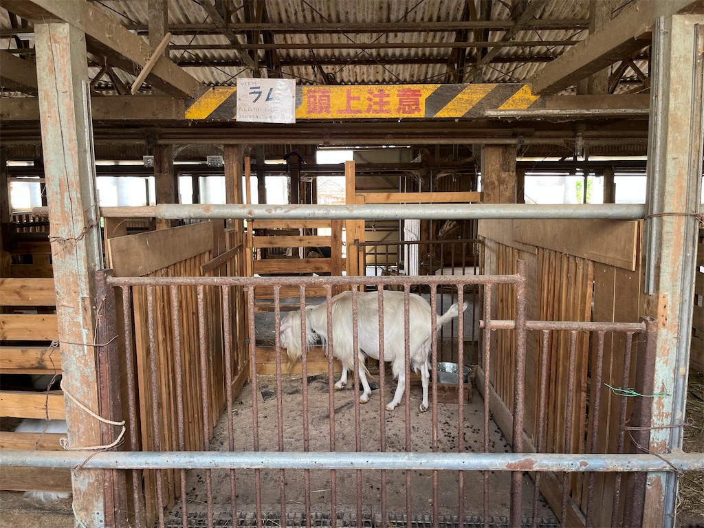 f:id:hiroyuta32:20230725102449j:image