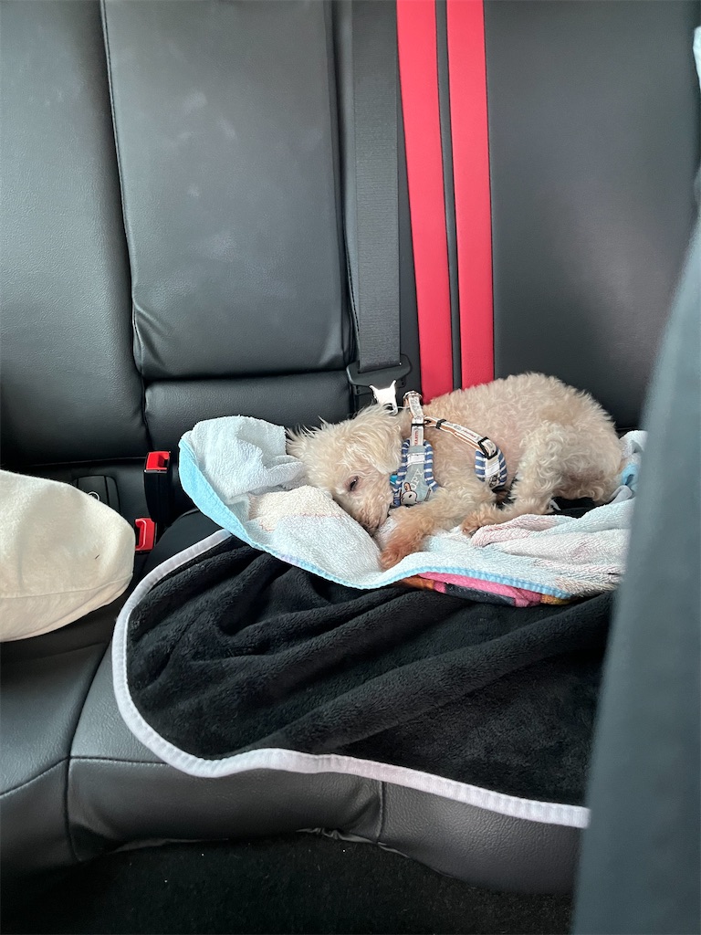 f:id:hiroyuta32:20230725102455j:image