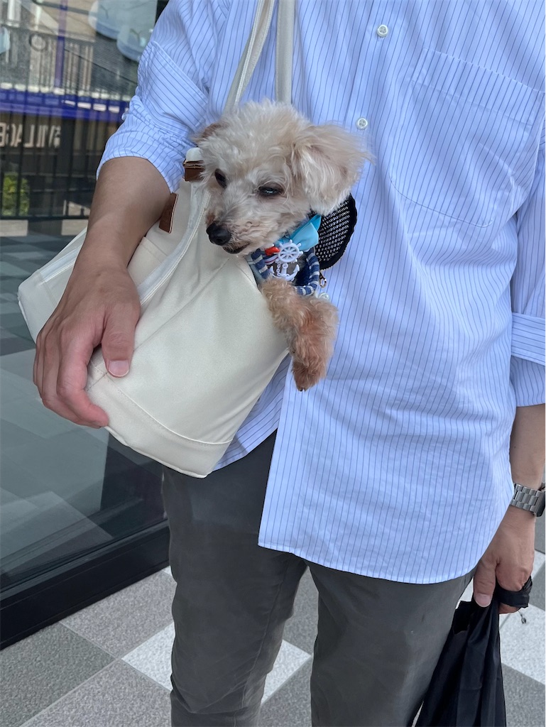 f:id:hiroyuta32:20230725103136j:image