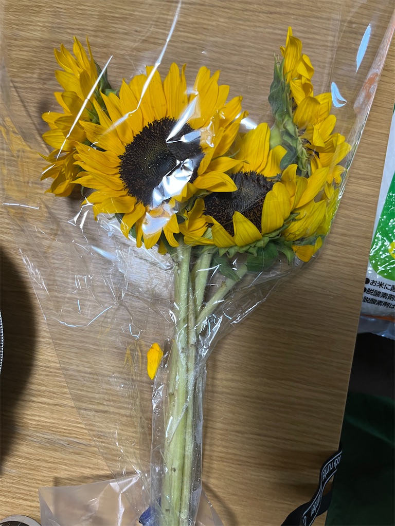 f:id:hiroyuta32:20230814114258j:image