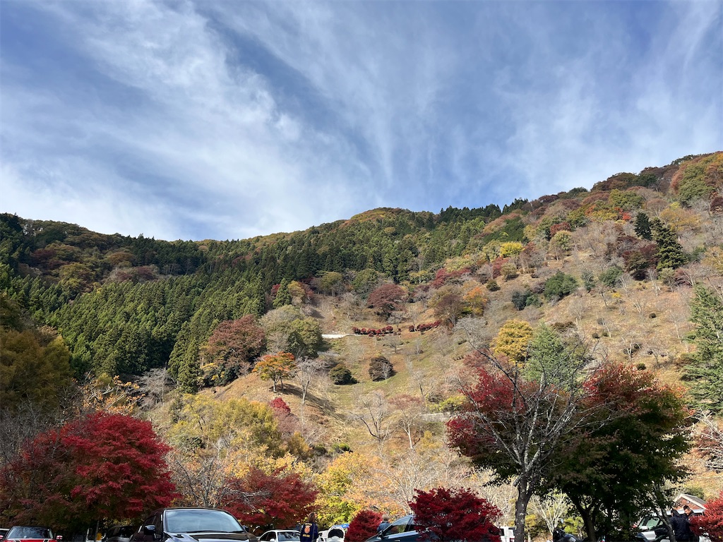 f:id:hiroyuta32:20231114093032j:image