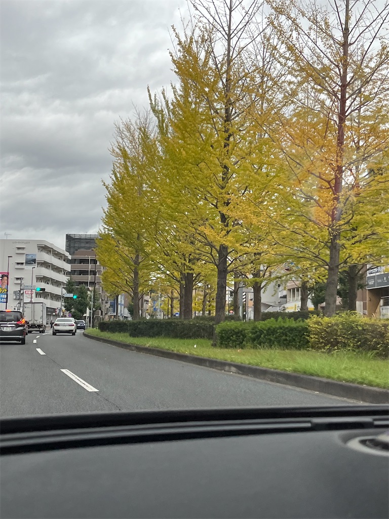 f:id:hiroyuta32:20231114093041j:image