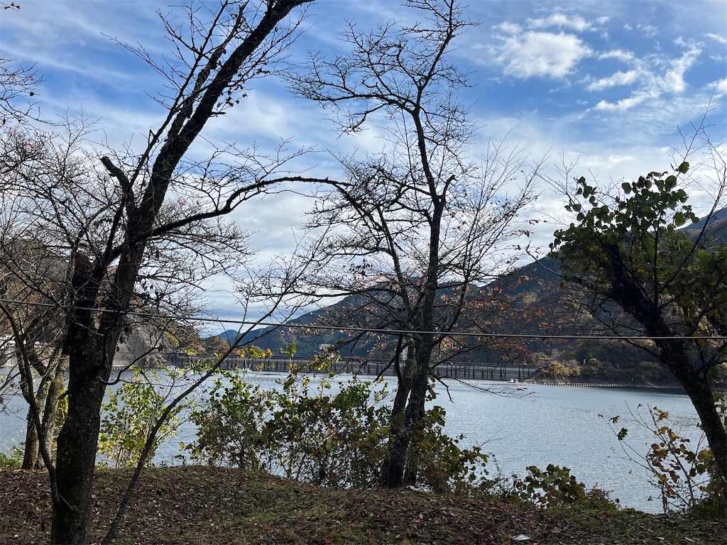 f:id:hiroyuta32:20231114093109j:image