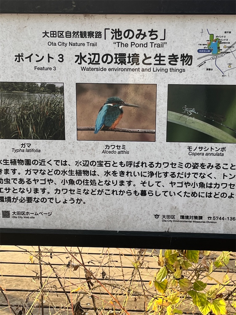 f:id:hiroyuta32:20231221101902j:image