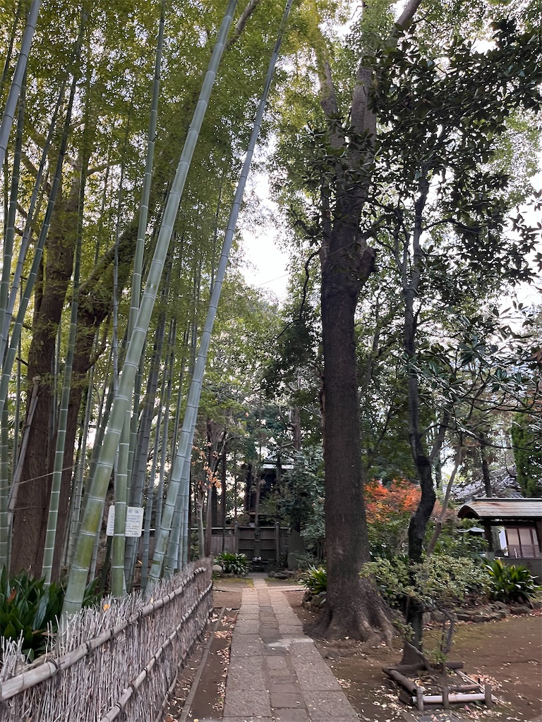 f:id:hiroyuta32:20231221101912j:image