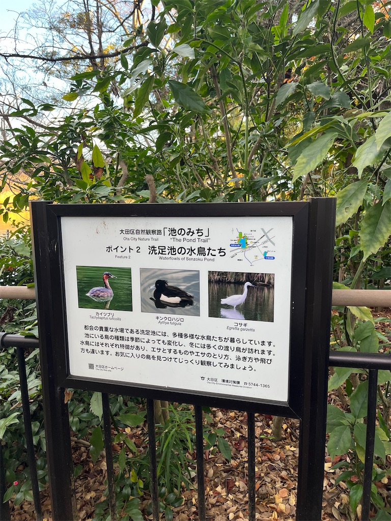 f:id:hiroyuta32:20231221101956j:image