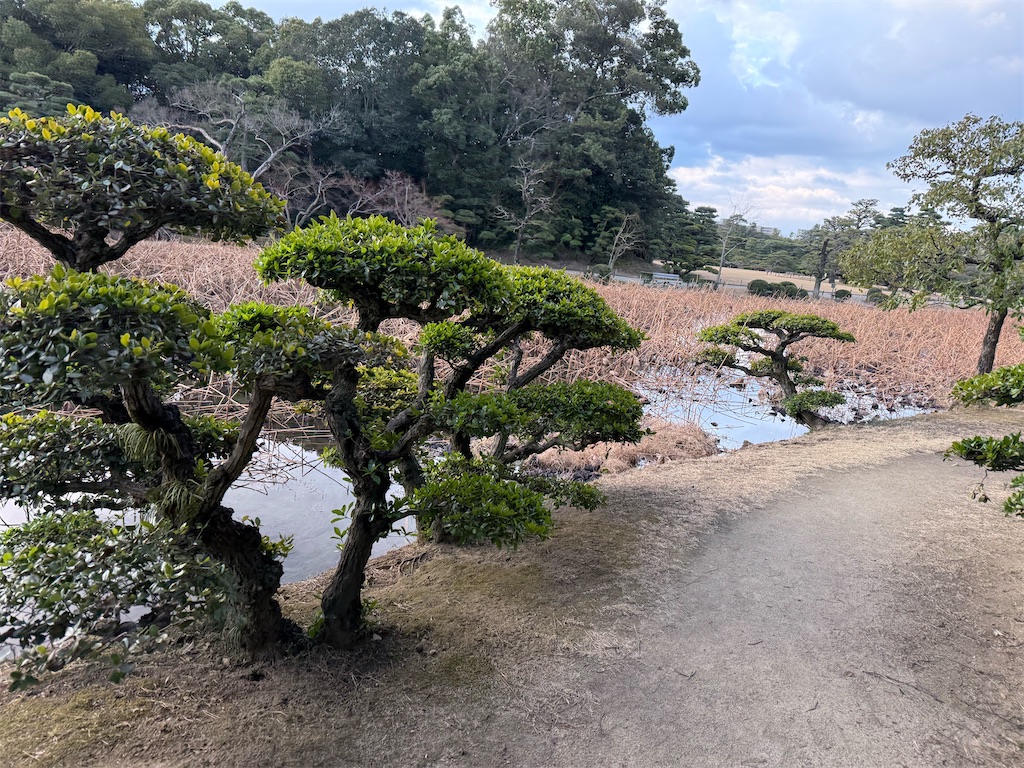 f:id:hiroyuta32:20250317152000j:image