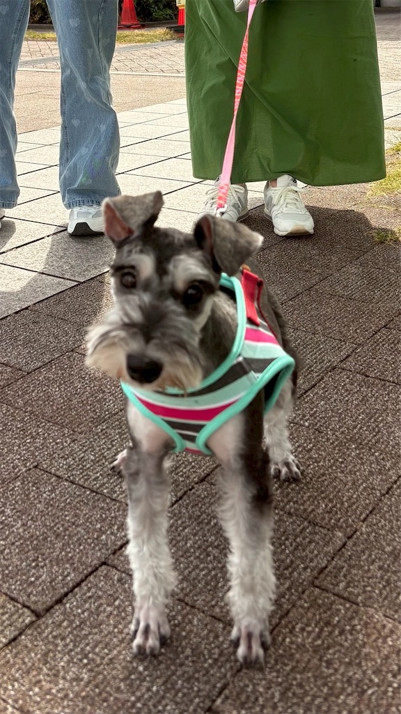 f:id:hiroyuta32:20250521092829j:image f:id:hiroyuta32:20250521092829j:image