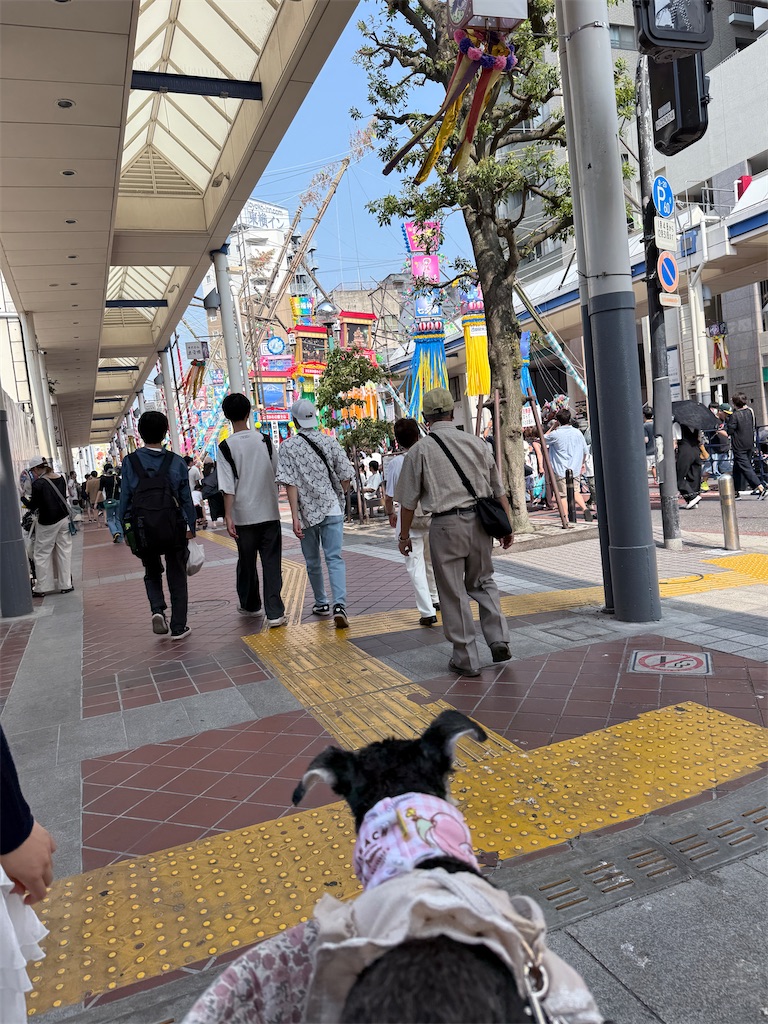 f:id:hiroyuta32:20250708090431j:image f:id:hiroyuta32:20250708090431j:image