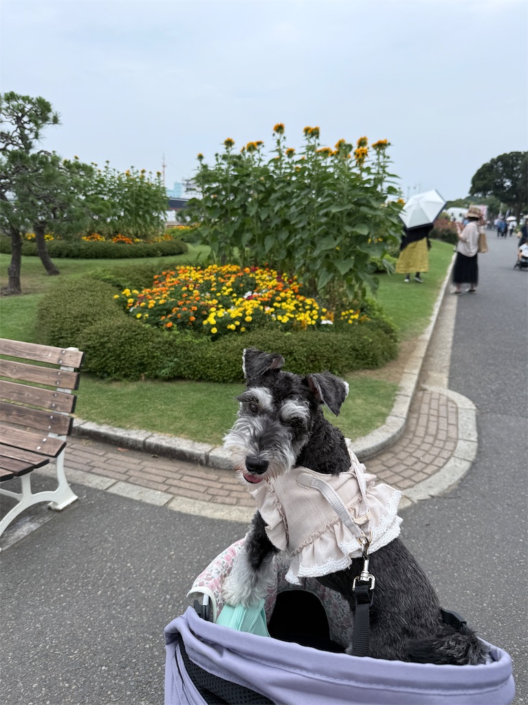 f:id:hiroyuta32:20250708090502j:image f:id:hiroyuta32:20250708090502j:image
