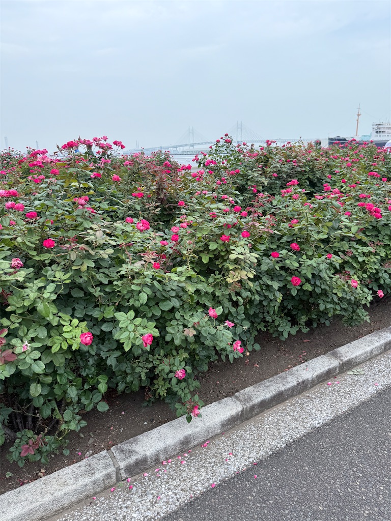 f:id:hiroyuta32:20250708090511j:image f:id:hiroyuta32:20250708090511j:image