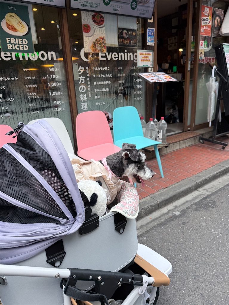 f:id:hiroyuta32:20250814093236j:image