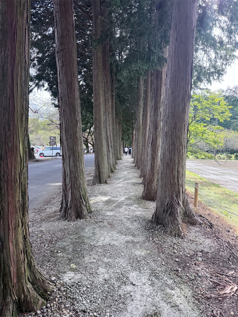 f:id:hiroyuta32:20251017163342j:image