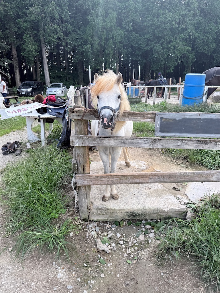 f:id:hiroyuta32:20251017163433j:image