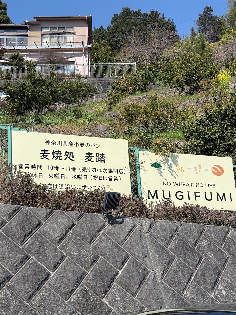 f:id:hiroyuta32:20260303091310j:image