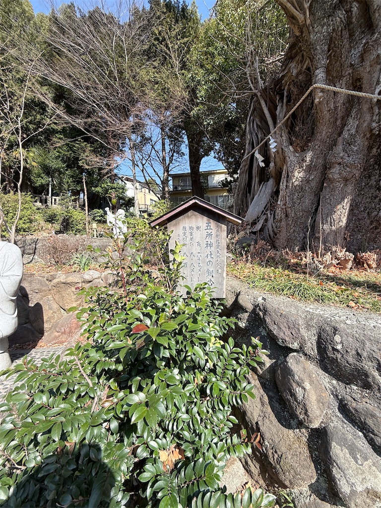 f:id:hiroyuta32:20260303093723j:image