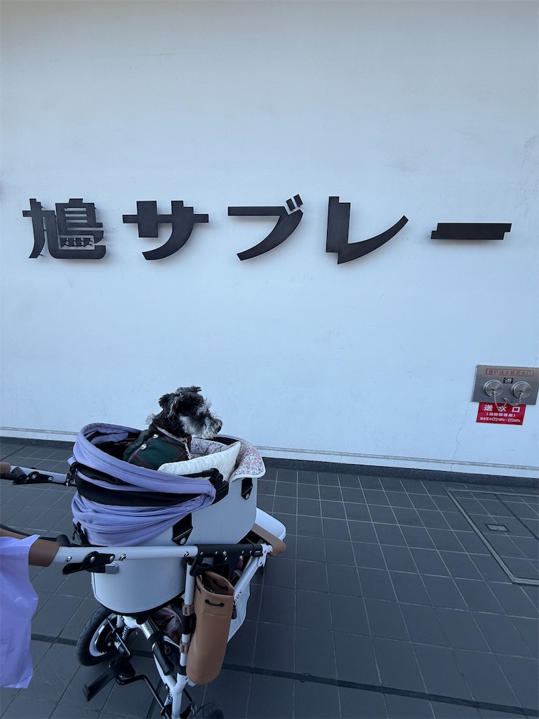 f:id:hiroyuta32:20260407091958j:image