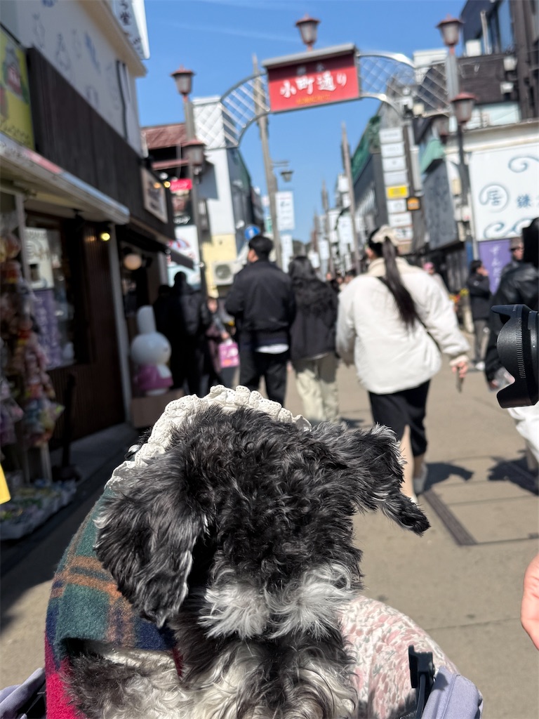 f:id:hiroyuta32:20260407092009j:image