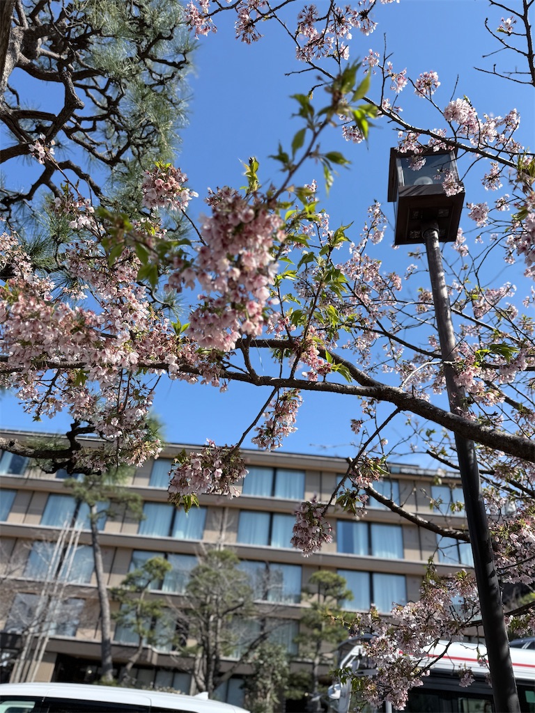f:id:hiroyuta32:20260407092023j:image