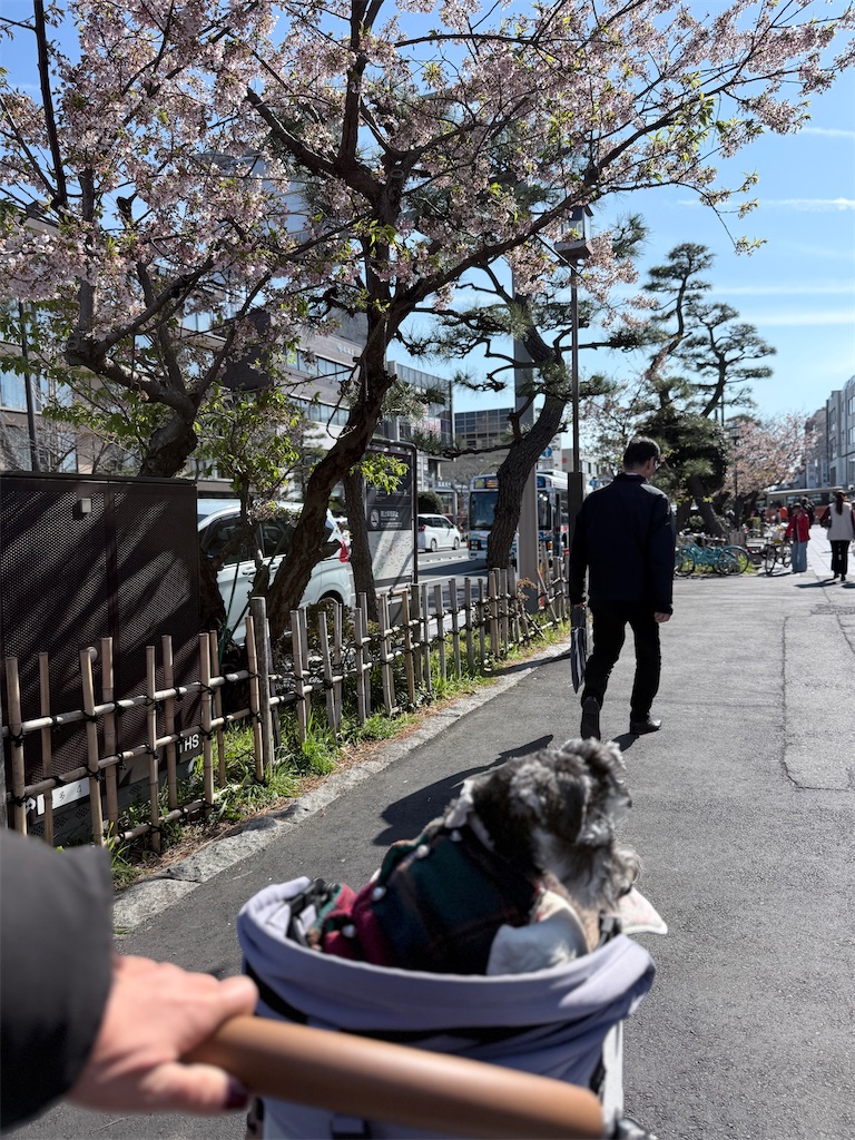 f:id:hiroyuta32:20260407092026j:image