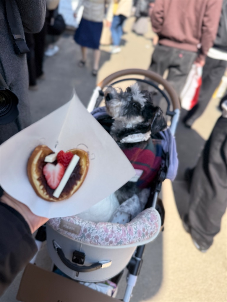 f:id:hiroyuta32:20260407092042j:image