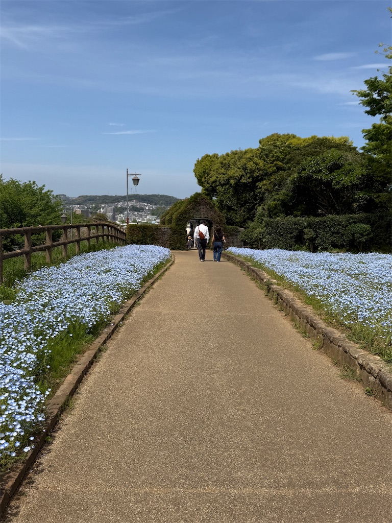 f:id:hiroyuta32:20260421091504j:image