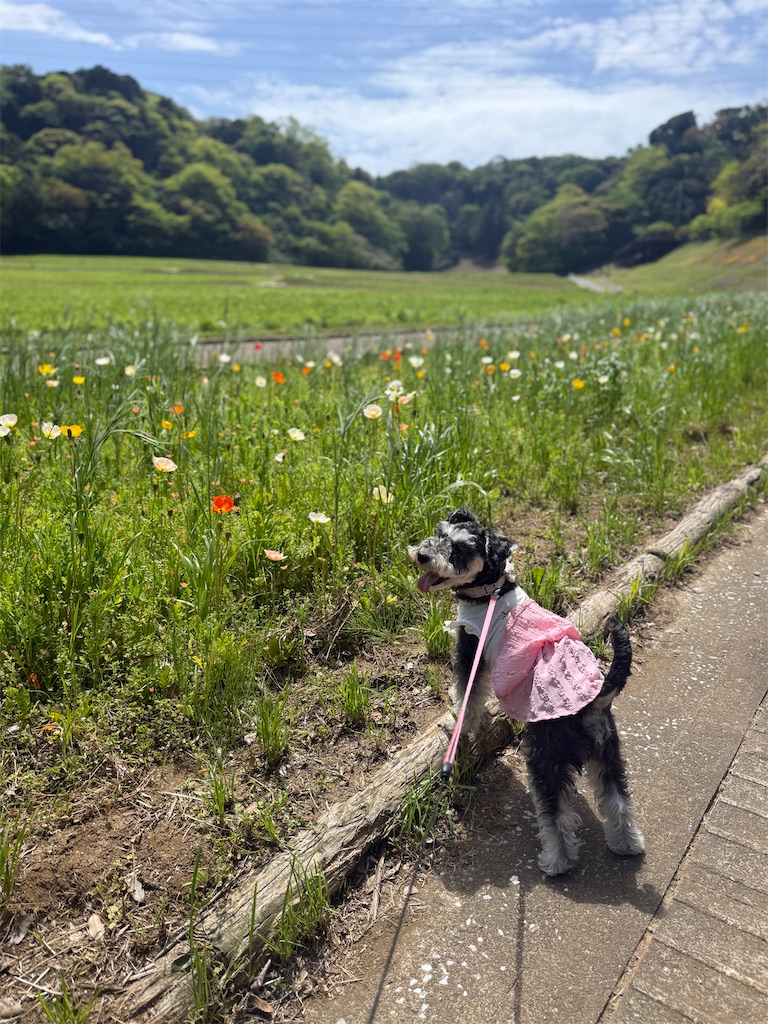 f:id:hiroyuta32:20260421091517j:image