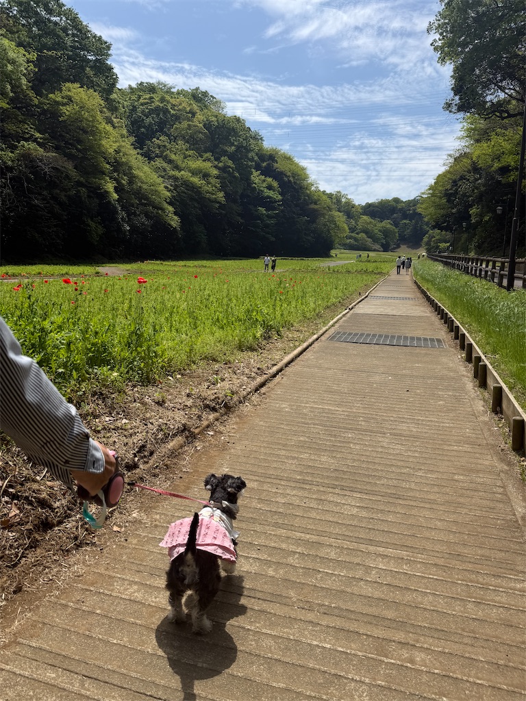 f:id:hiroyuta32:20260421091526j:image